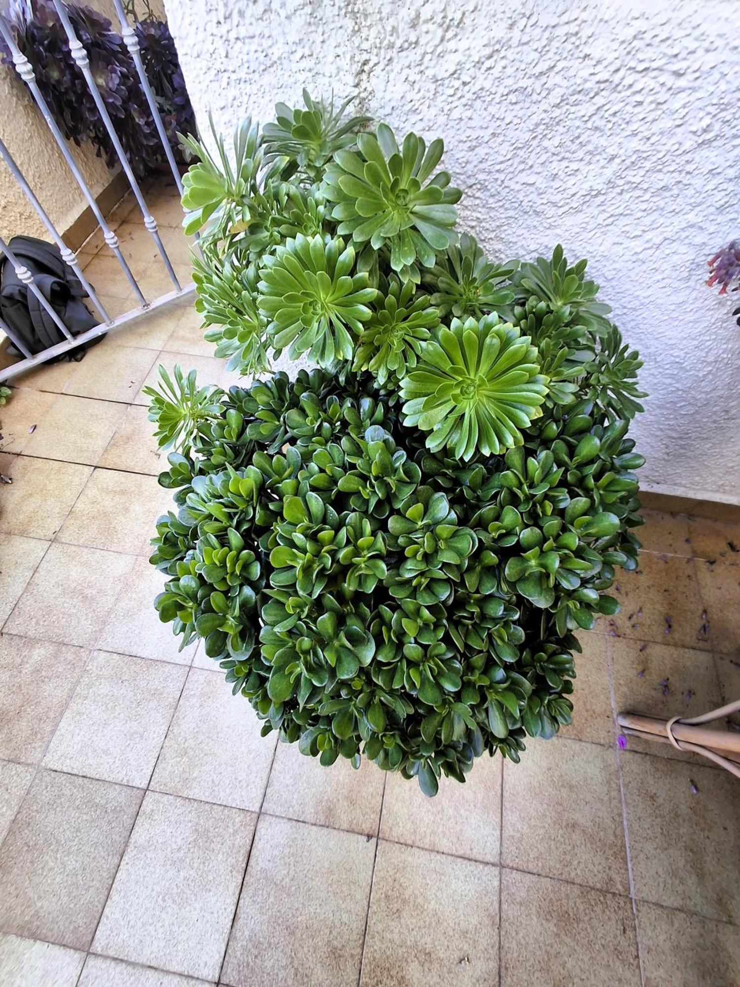 Apartemento Monika Monte Pedrera C 4 Top Aussicht Denia Exteriör bild